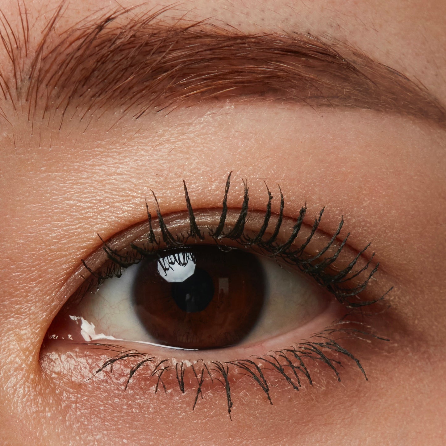 treatment lush curl mascara
