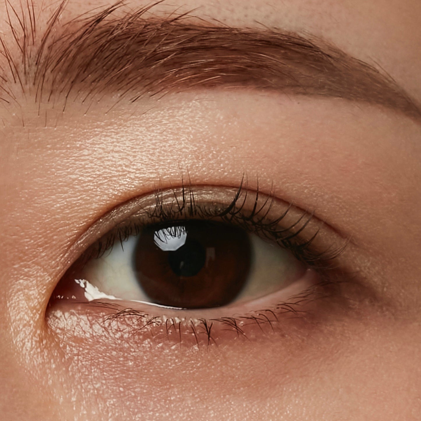 treatment lush curl mascara