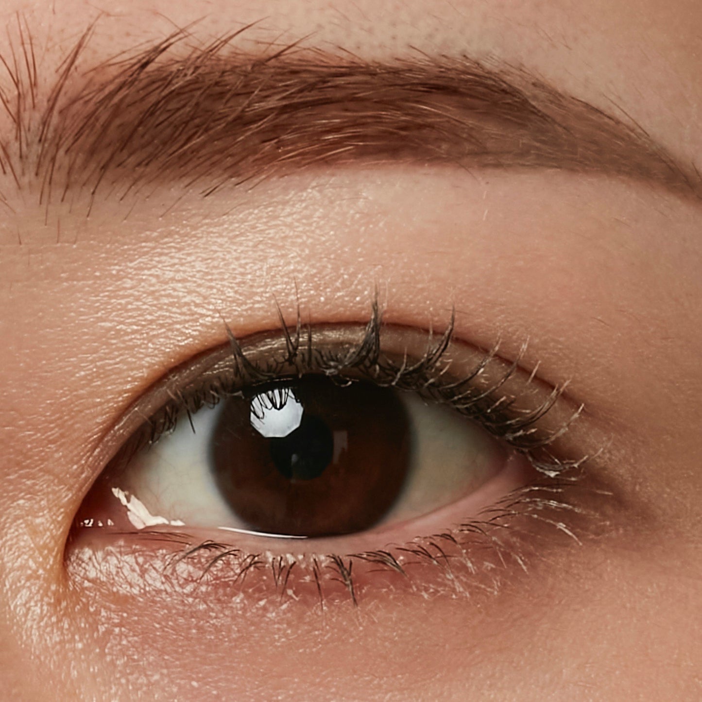 treatment lush curl mascara