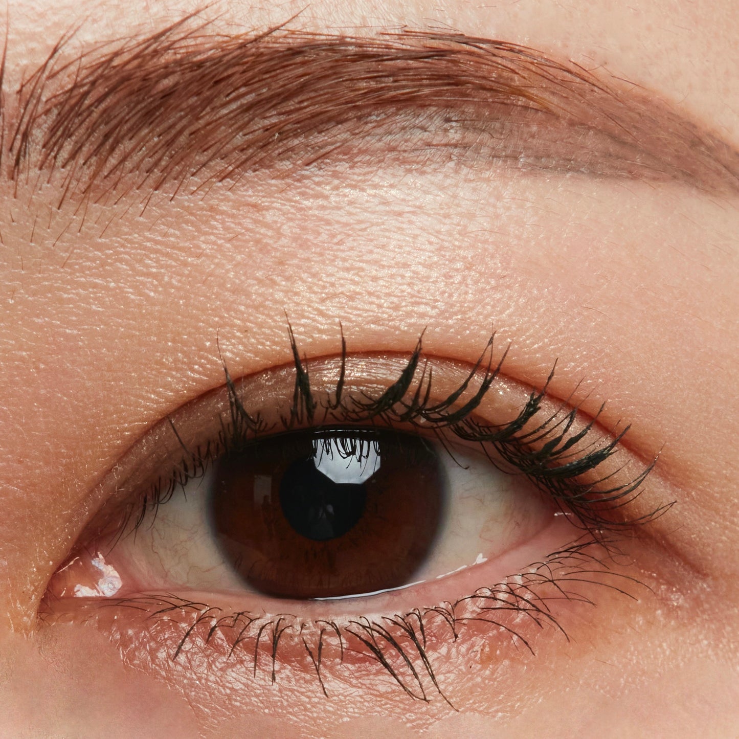 treatment lush curl mascara