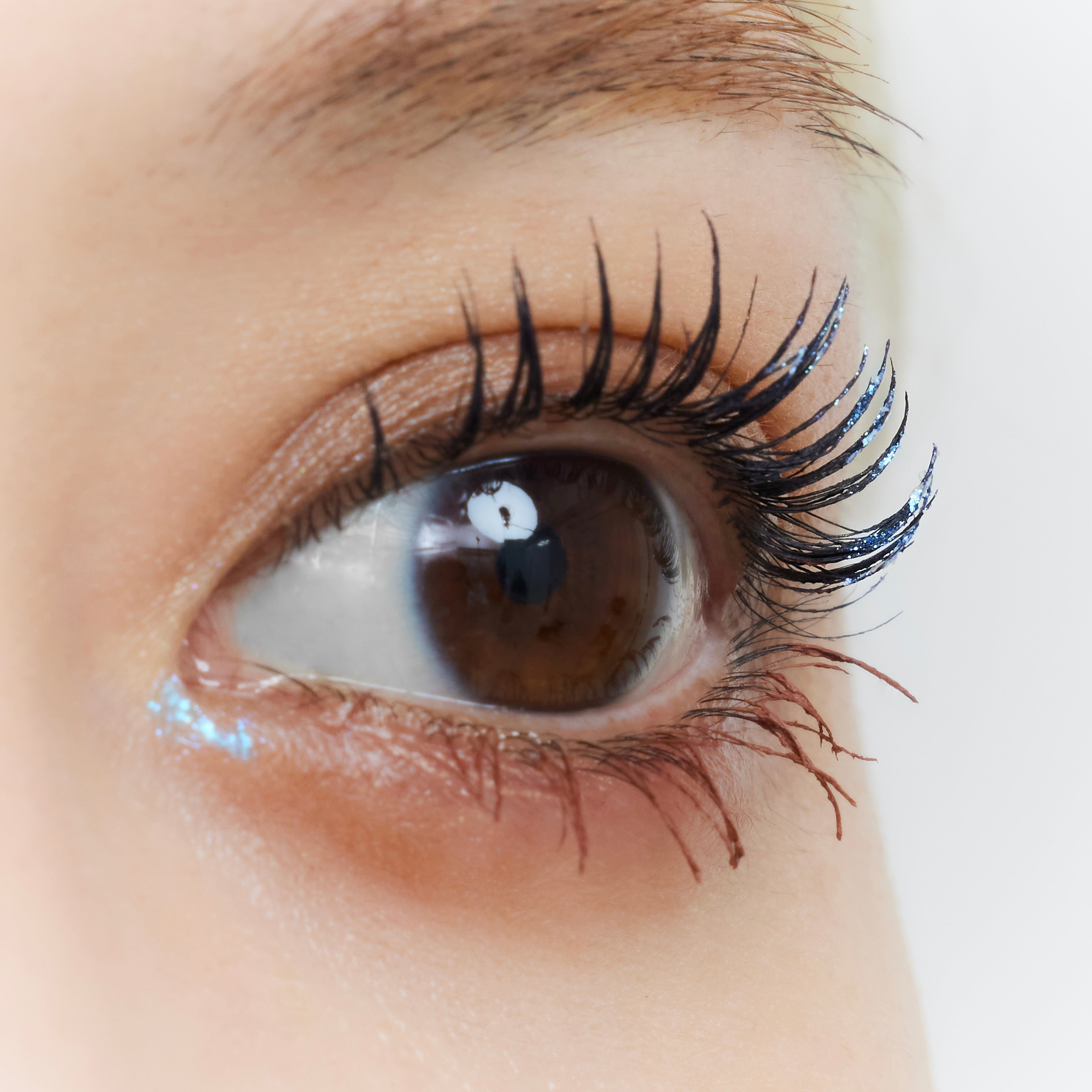 公式】senses product useful grow eye color aurora 6 | アイカラー