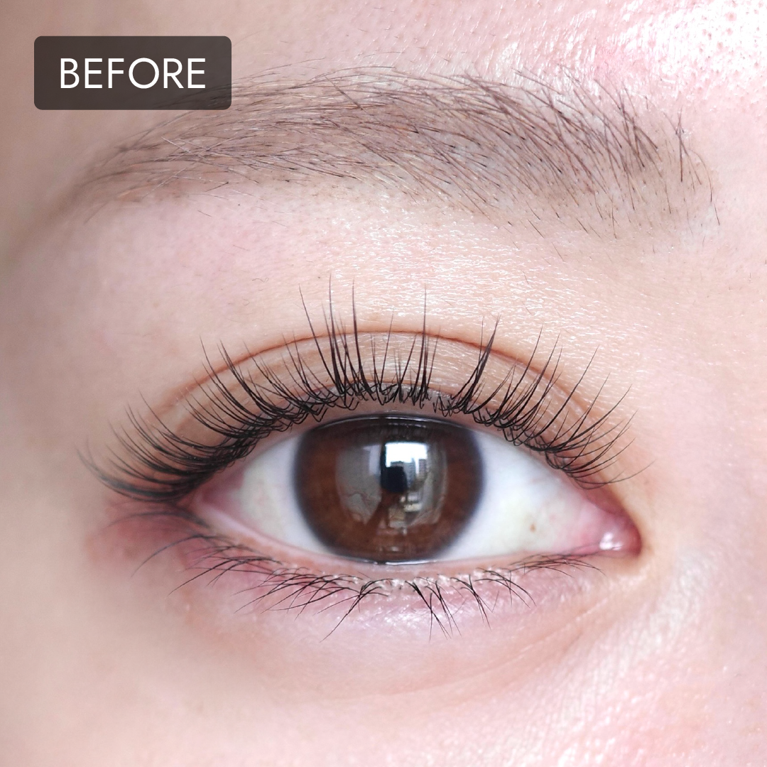 10/31 12:00~ Lash Veil Duo