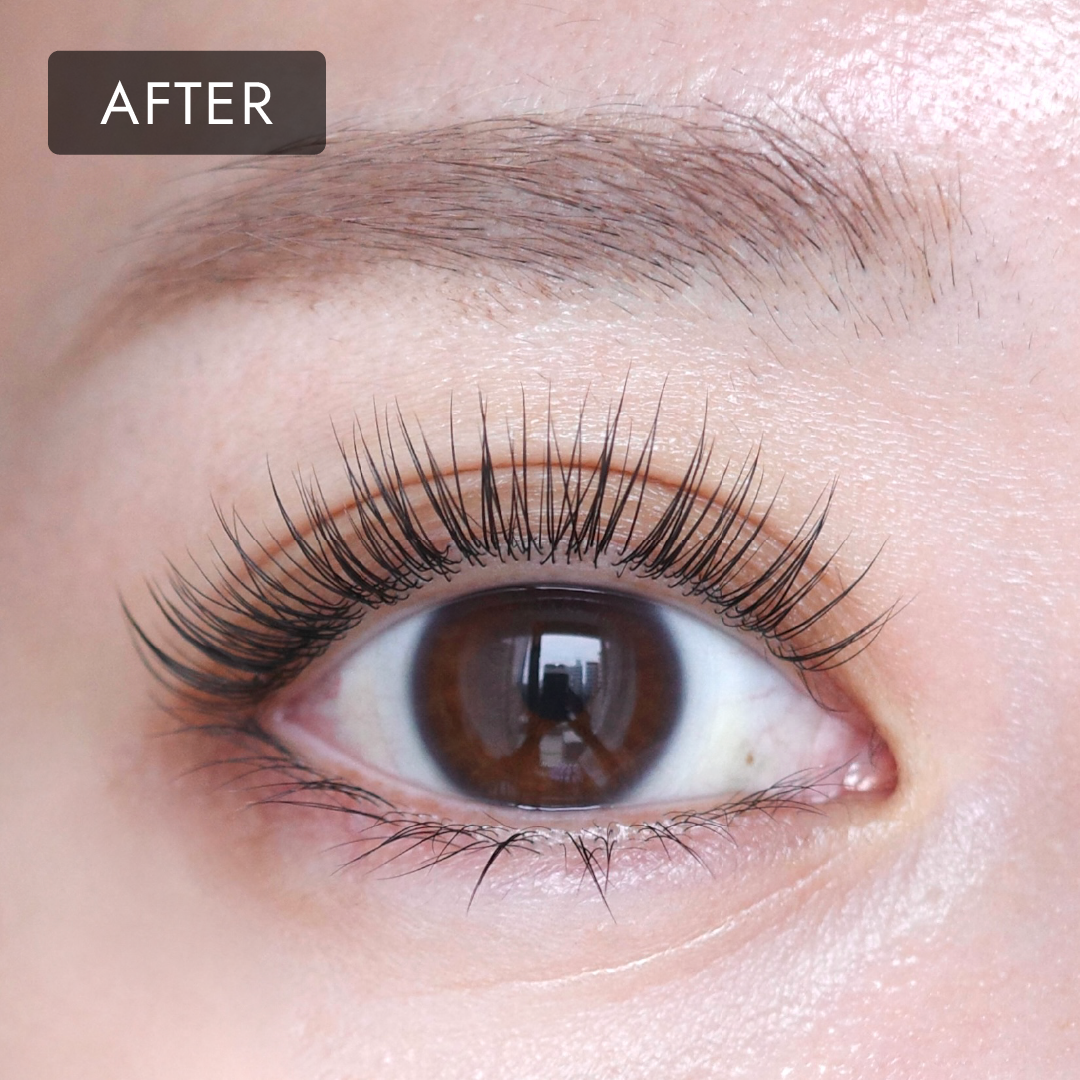 10/31 12:00~ Lash Veil Duo