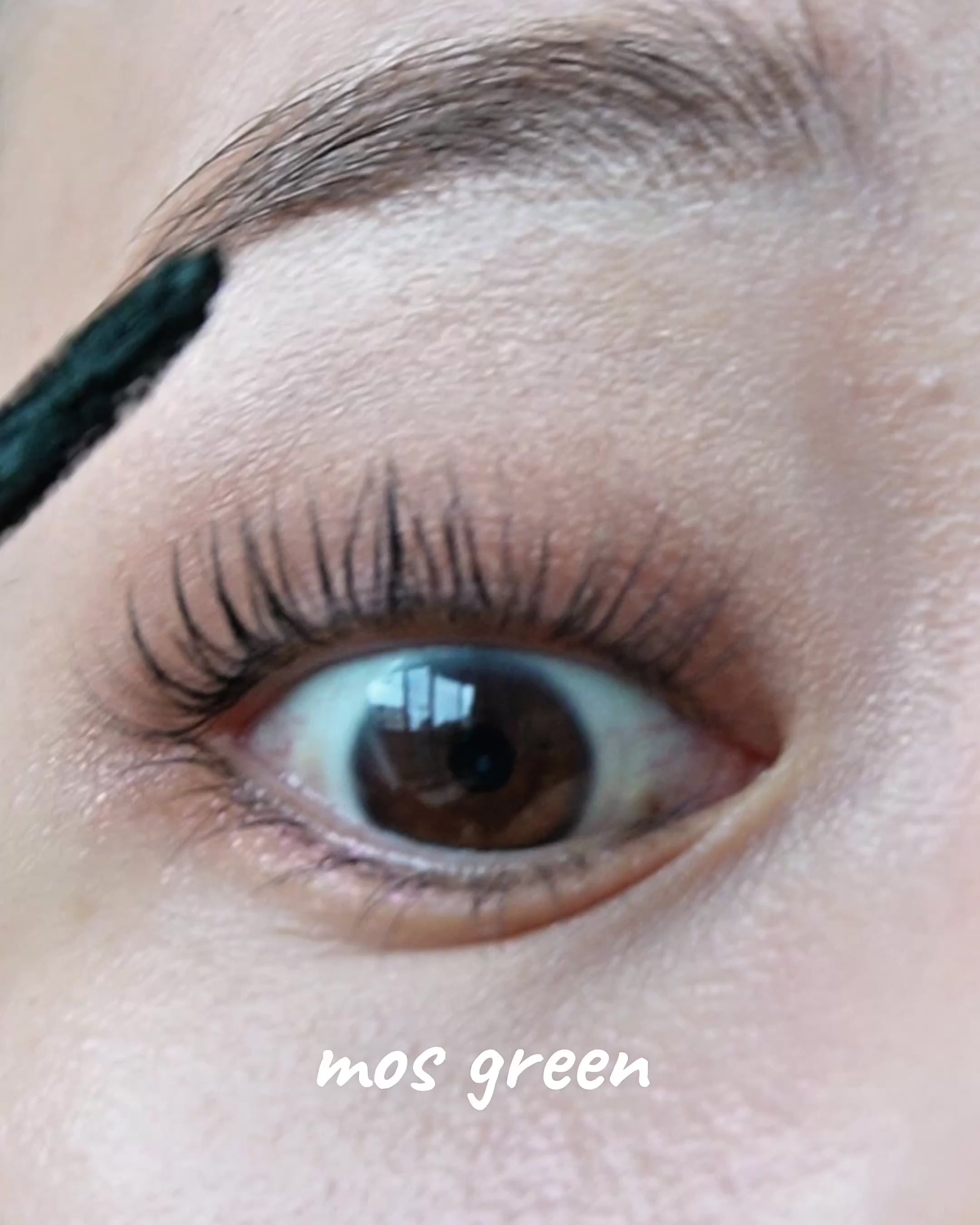 公式】senses product mascara mos green | カラーマスカラ | モスグリーン